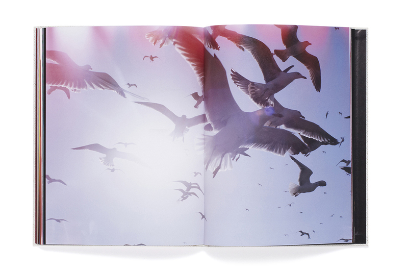 Abandom Reverie` - マーク・ボスウィック | shashasha 写々者 - 写真