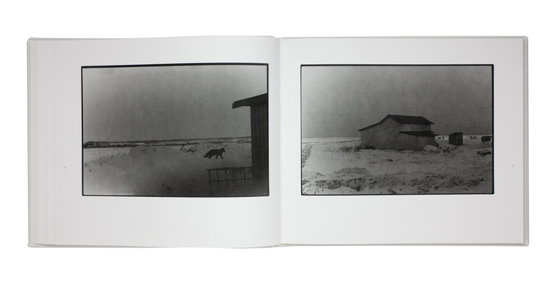 鹿渡り - 白石ちえこ | shashasha 写々者 - 写真集とアートブック