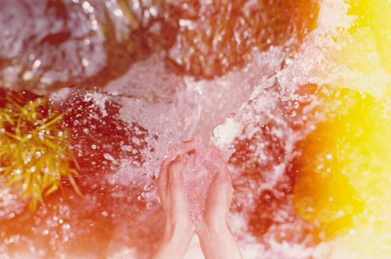 Mark BORTHWICK - マーク・ボスウィック | shashasha - Photography