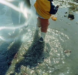 Mikiko HARA - 原美樹子 | shashasha - Photography & art in books