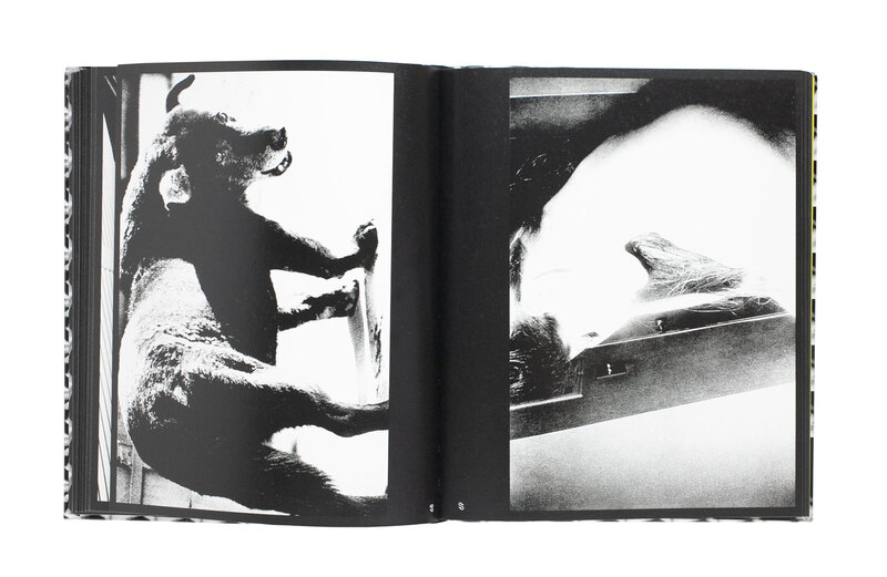 Daido Moriyama: A Retrospective - 森山大道 | shashasha 写々者