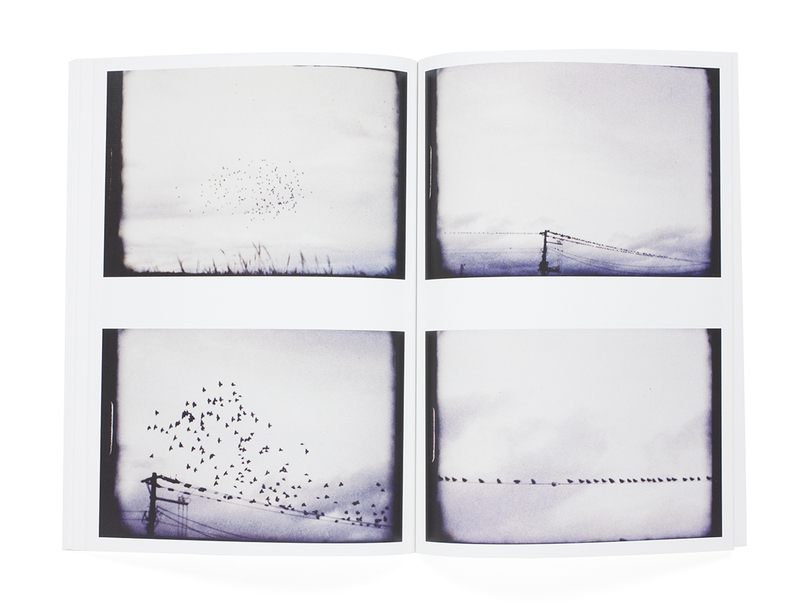 意識の素粒子 - 竹本英樹 | shashasha 写々者 - 写真集とアートブック