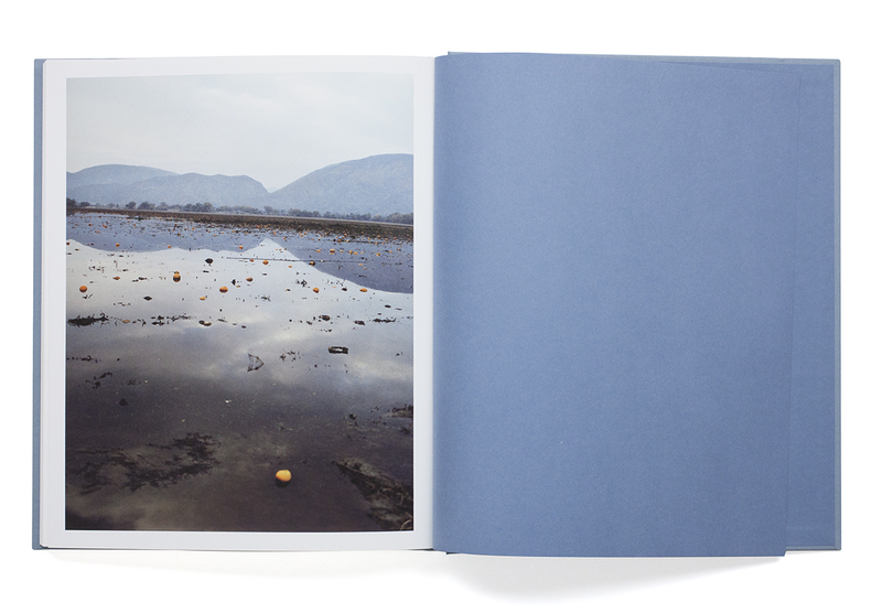 ZZYZX - Gregory HALPERN | shashasha - Photography & art in books