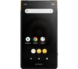 Sony Digital Media Player| NW-ZX707