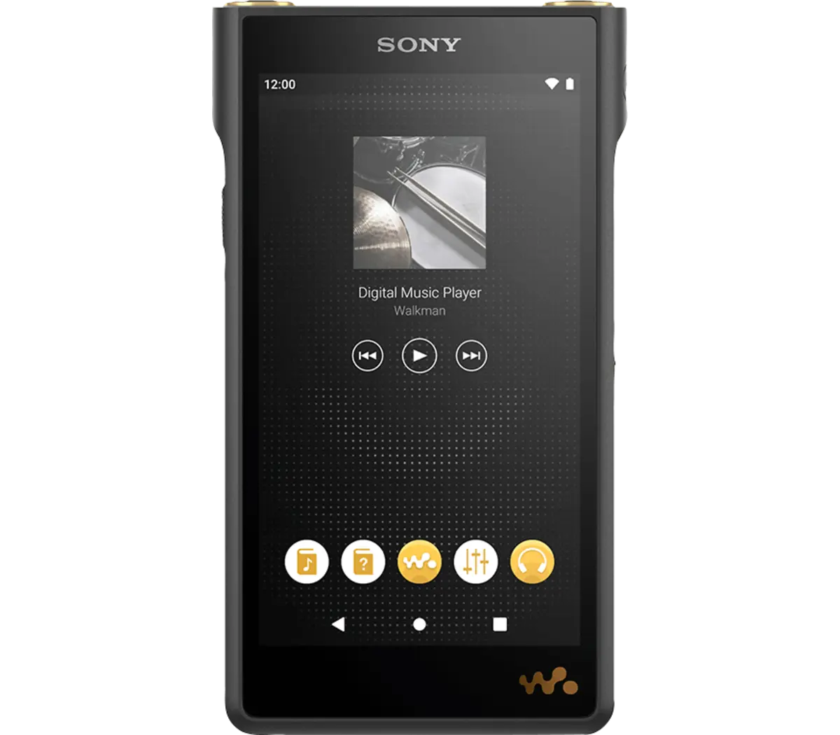 Sony NW-WM1AM2 Hi-Res 128GB Walkman Digital MP3 Player