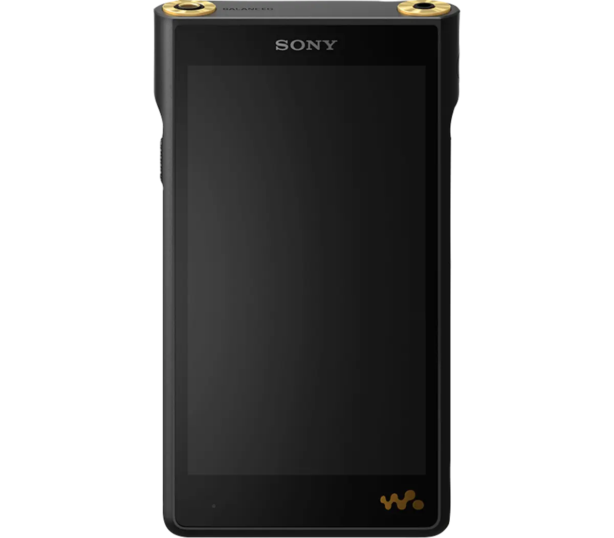 Sony NW-WM1AM2 Hi-Res 128GB Walkman Digital MP3 Player
