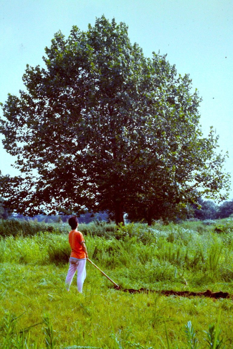 映画『ロビンソンの庭』HDリマスター版製作!大脳直撃の衝撃作を復活