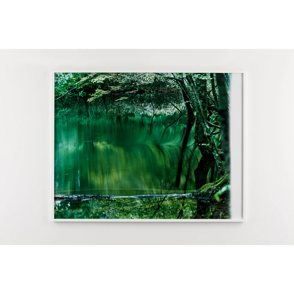 UESHIMA MUSEUM COLLECTION