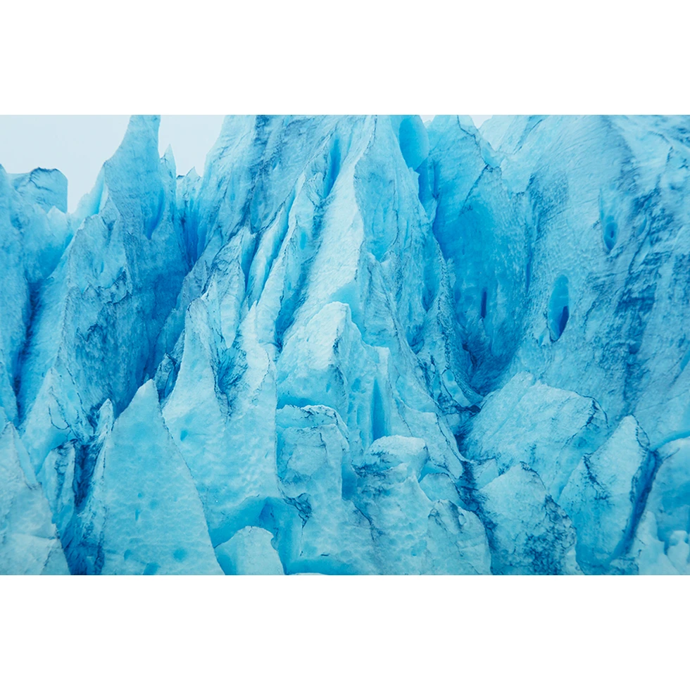 UESHIMA MUSEUM COLLECTION