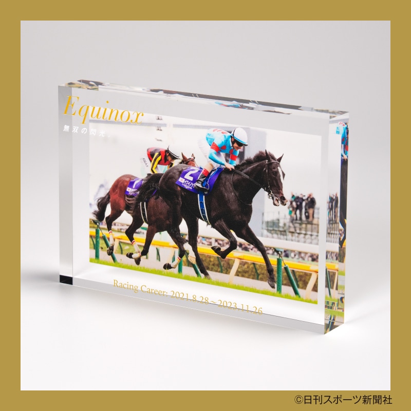名馬コレクション 特製アクリルオブジェ（9）（イクイノックス