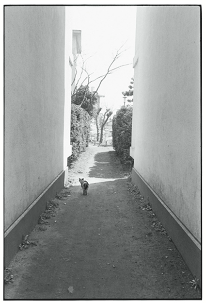 北井一夫 - Kazuo KITAI | ZEN FOTO GALLERY - アジア諸国の写真を専門