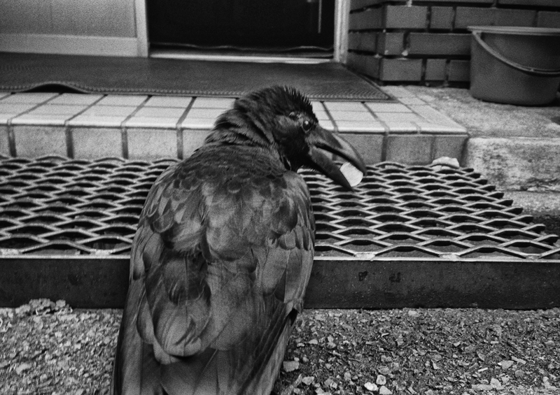 梁丞佑「新宿迷子」 | ZEN FOTO GALLERY - アジア諸国の写真を専門に