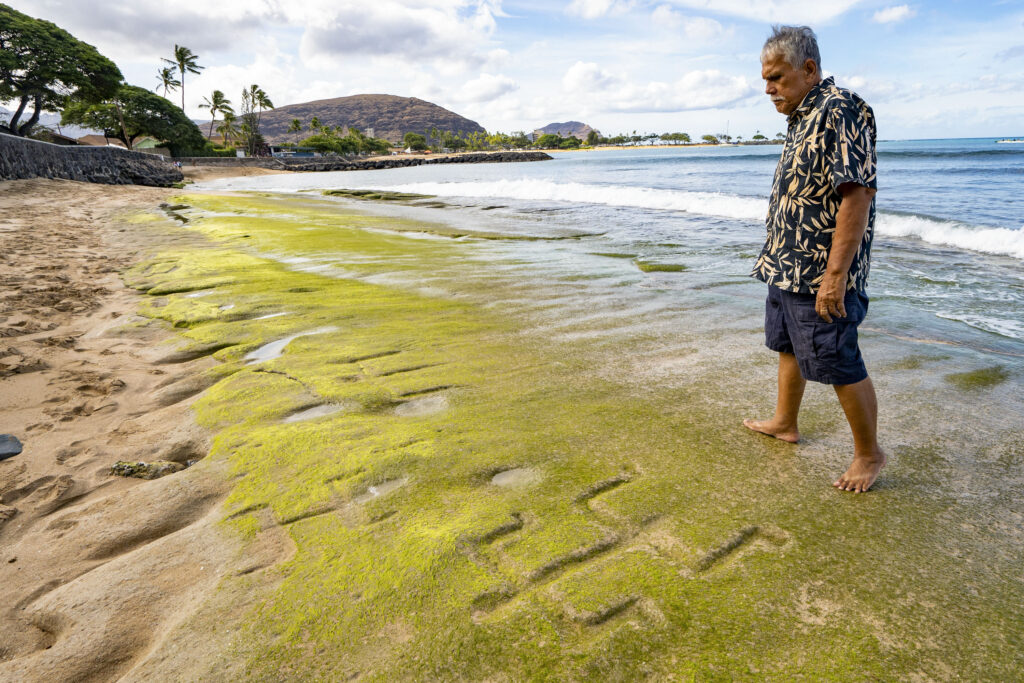 Hawaiian Petroglyphs Reemerge Thanks To Changing Tides And