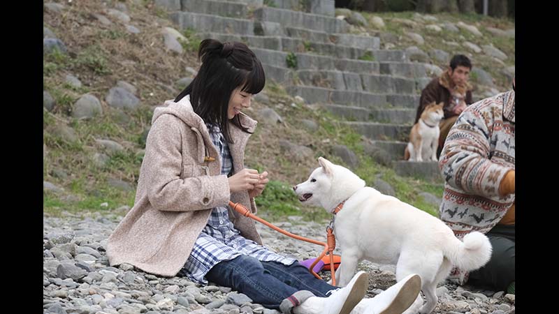 映画 劇場版「柴公園」 | 無料ドラマ・映画 | BS無料放送ならBS12