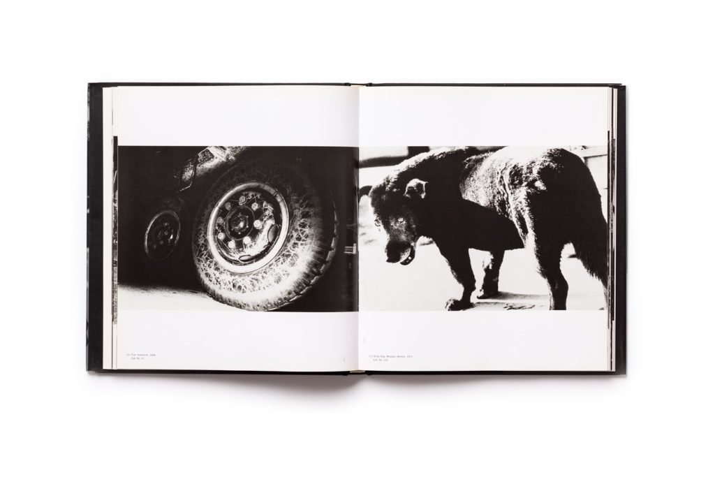 Daido Moriyama: Stray Dog · SFMOMA