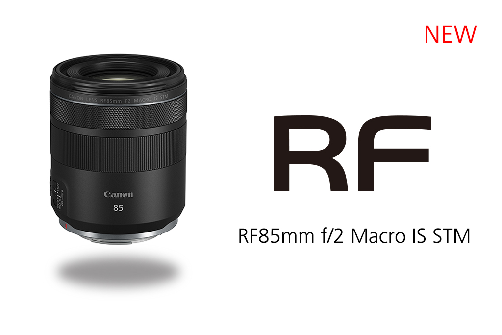 RF85mm f/2 Macro IS STM: IS and Macro Capabilities for More
