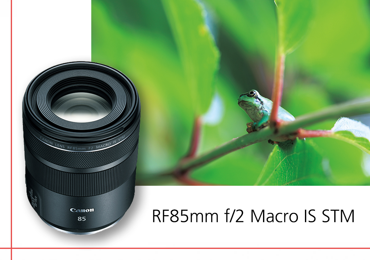 RF85mm f/2 Macro IS STM: A Closer Look at Nature