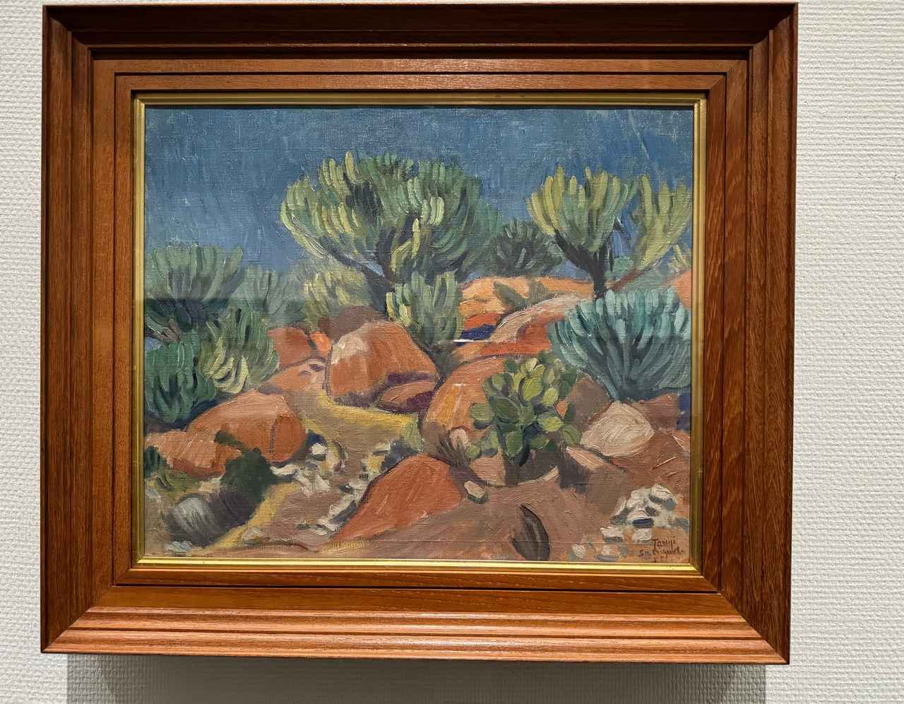 メキシコ サボテン 現代アート 日本人作家 絵画 メキシコ サボテン