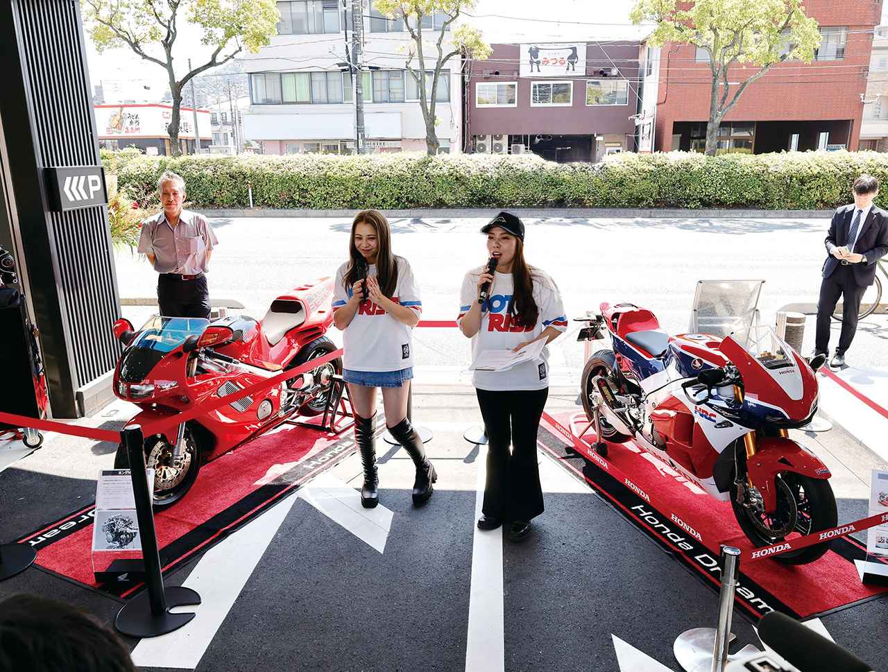 538846c892a56b48bb842520aa5880