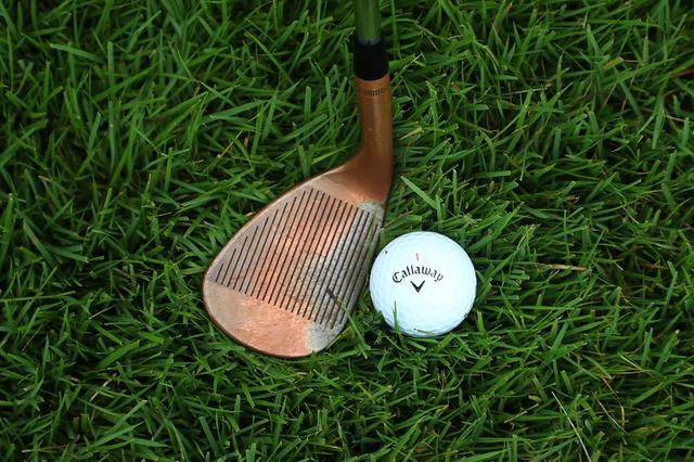 米田貴 - みんなのゴルフダイジェスト