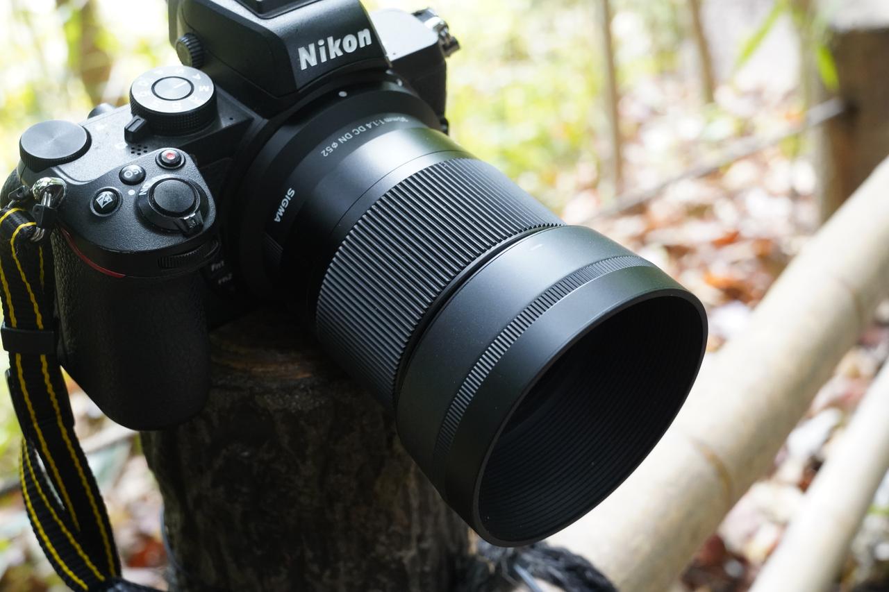 Lens Impression! シグマ Zマウント三兄弟 完全版 16mm F1.4 DC DN