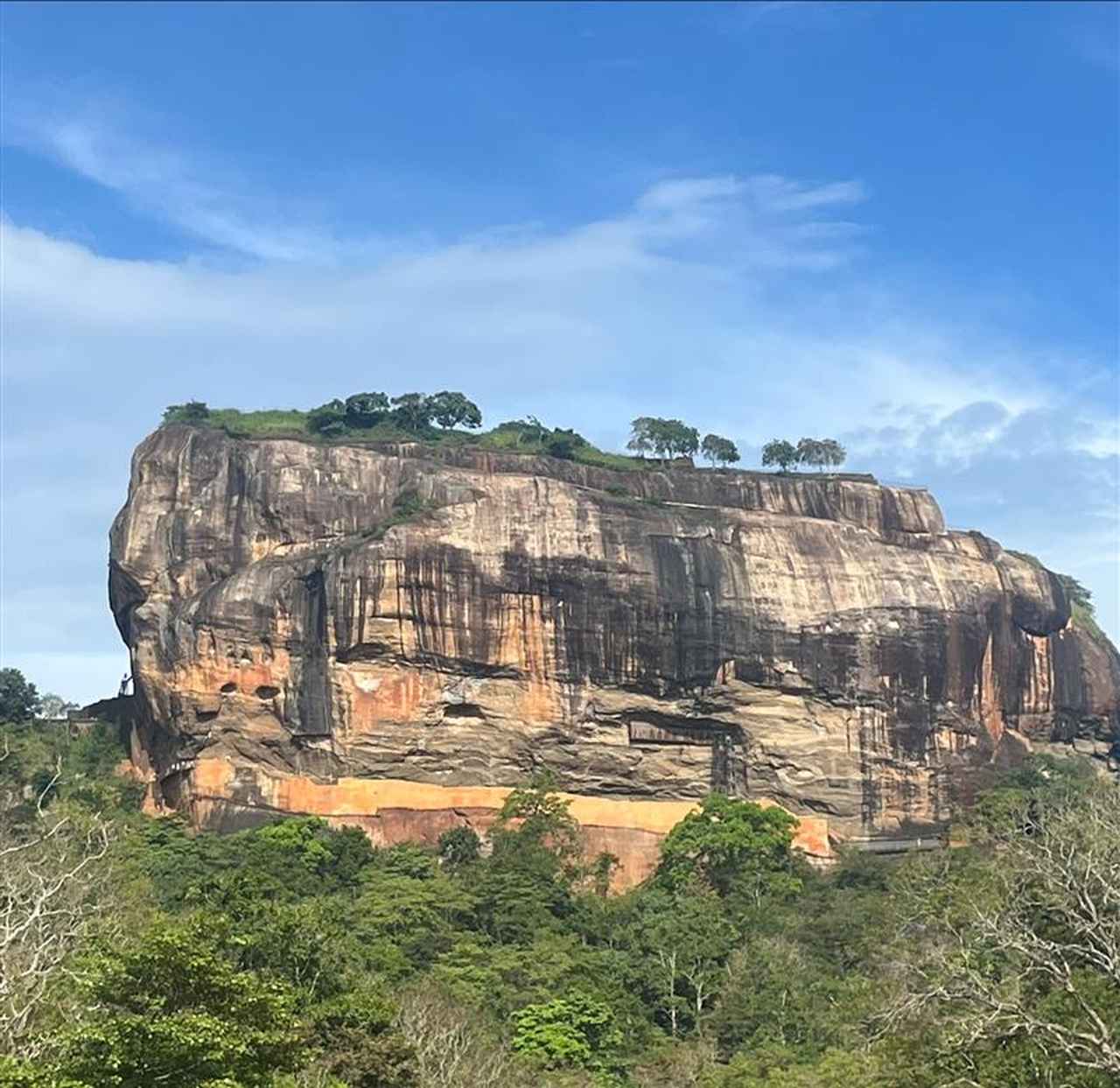 スリランカ】8日間でスリランカの名所を巡ります！自然や文化を体感