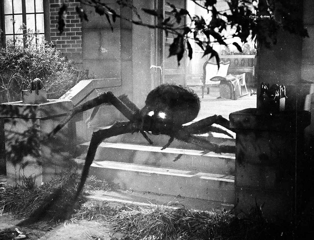 特撮ファン必見！ 4K版『ウルトラQ』が凄い理由〜その2〜 桜井浩子さん