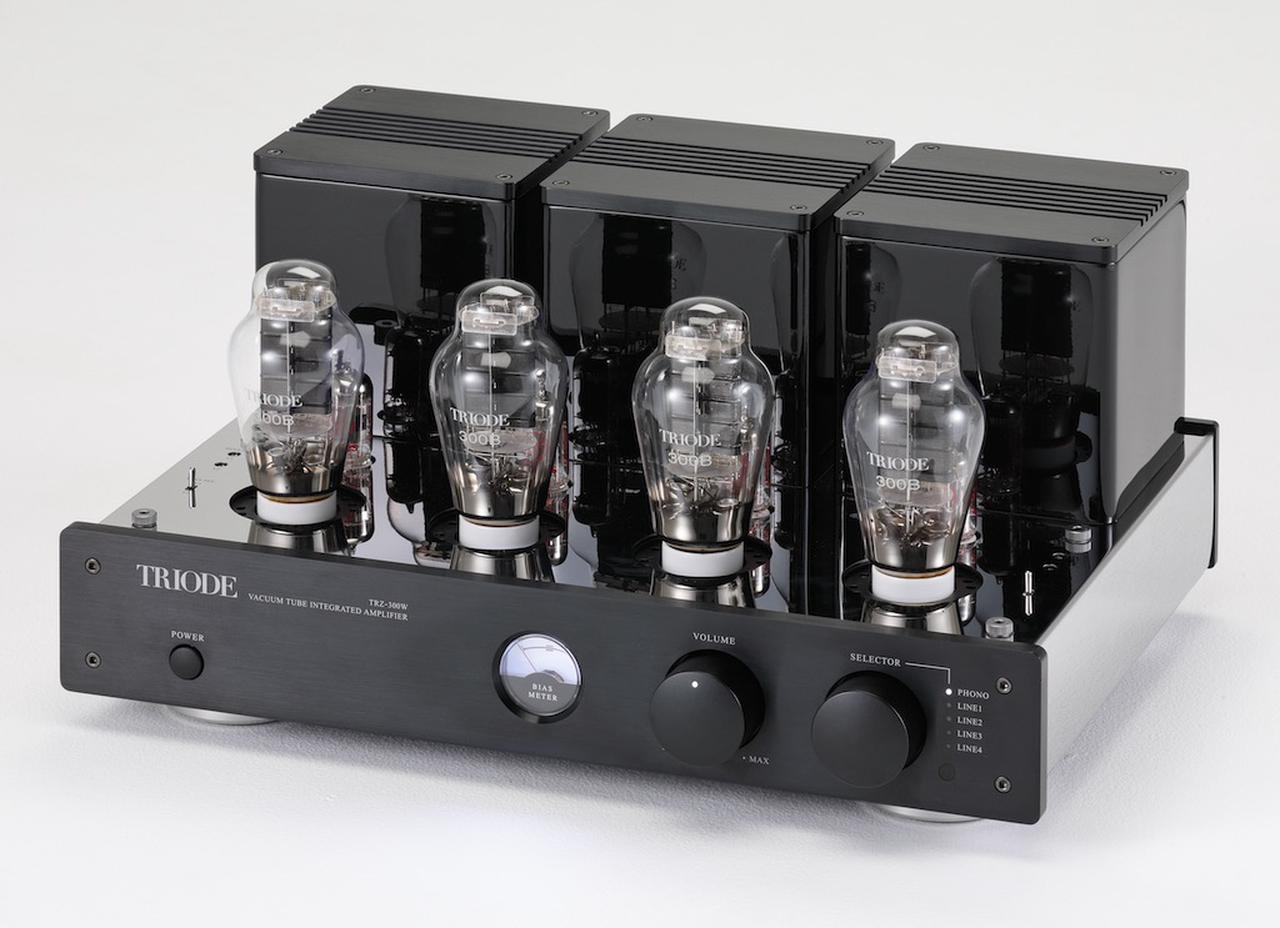 Triode TR-SP1 ペア 動作確認済み 【公式通販】