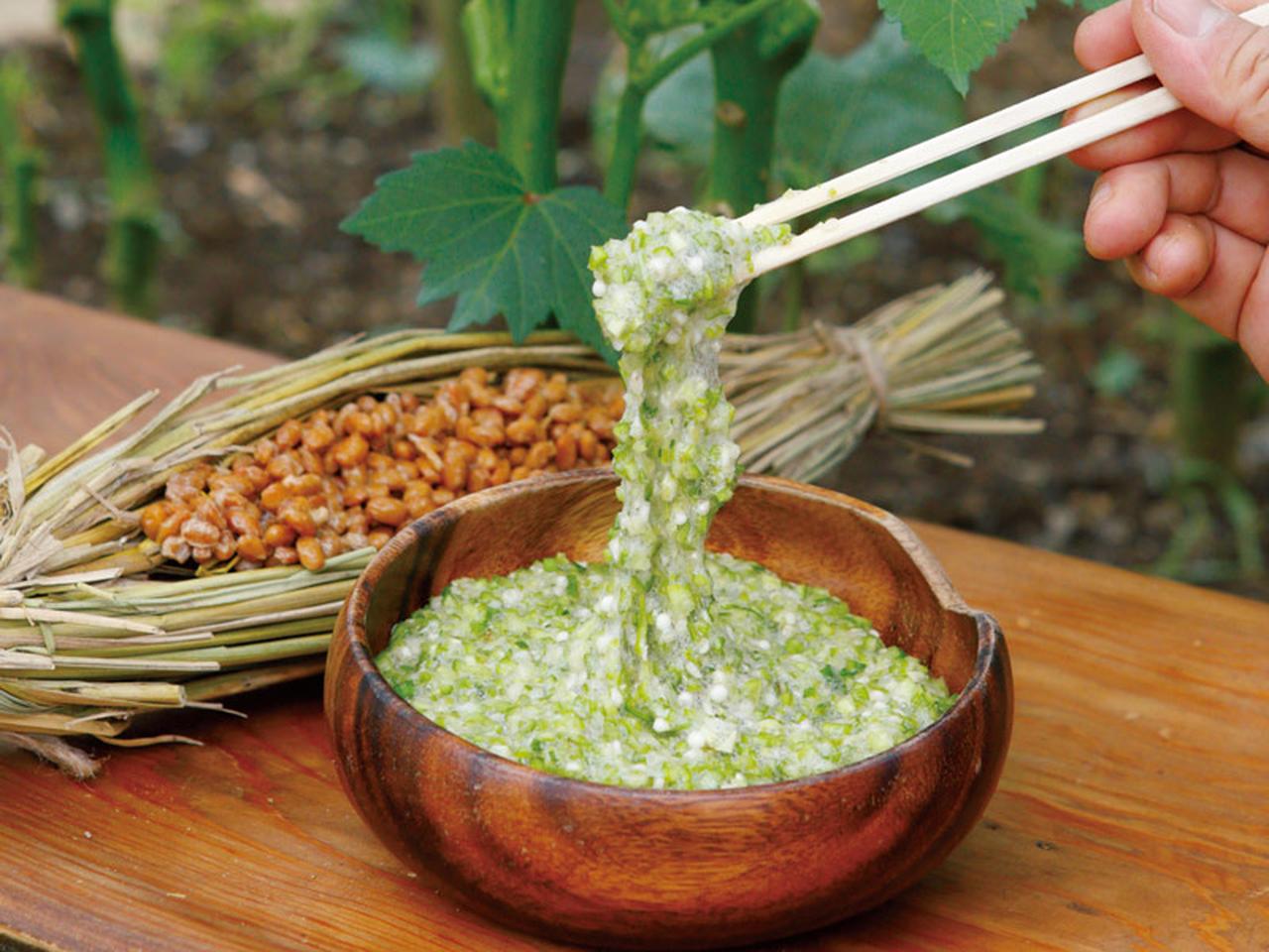 オクラのねばねば」増強実験。家庭菜園の超裏技！ ちょっと過激で