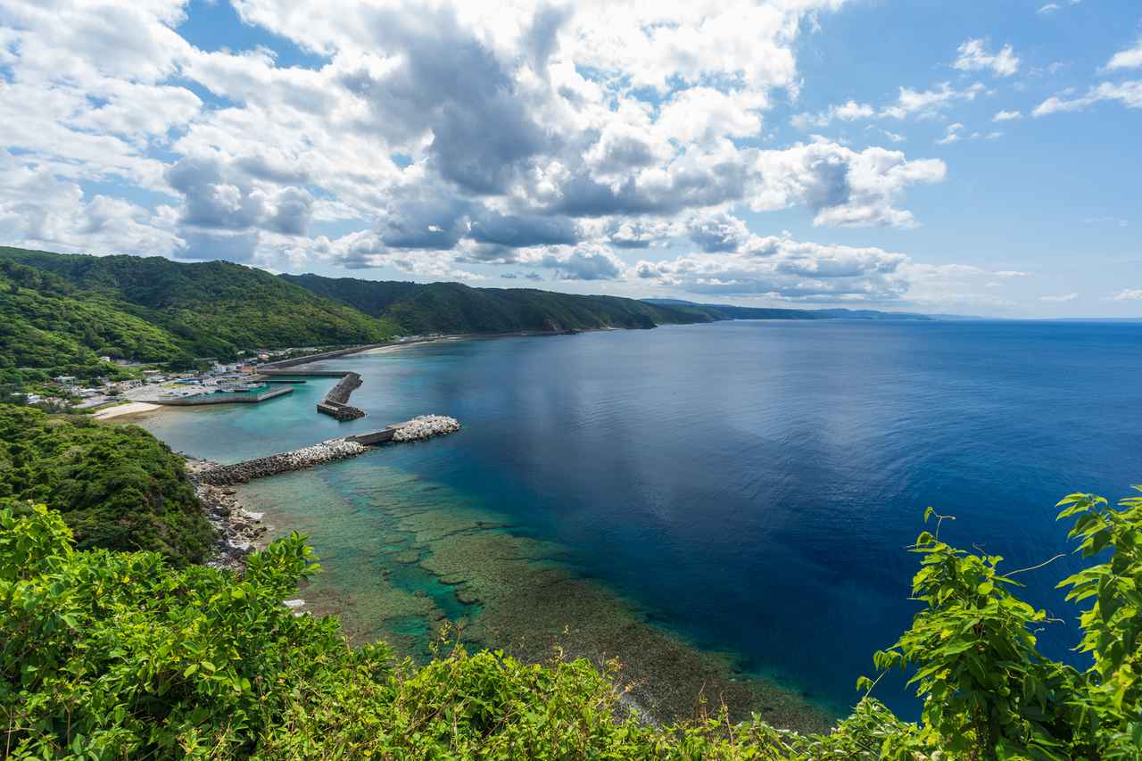 旅が暮らしに変わる。JALおすすめ2地域居住【沖縄県・国頭村編