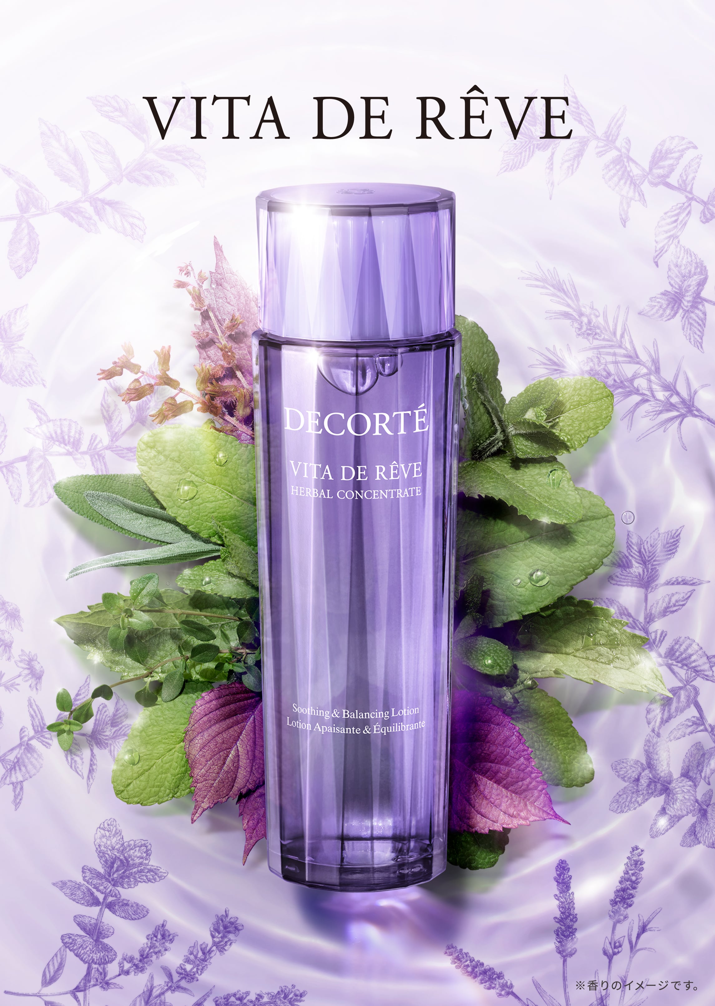 ヴィタ ドレーブ ハーバル ローション ＜150mL＞ | DECORTÉ（コスメ