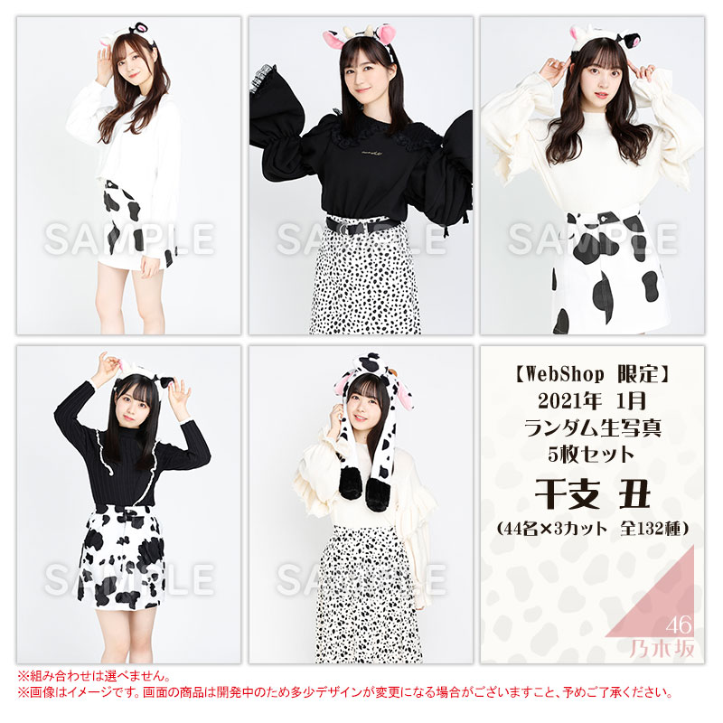 乃木坂46 OFFICIAL WEB SHOP | 乃木坂46 グッズ通販サイト