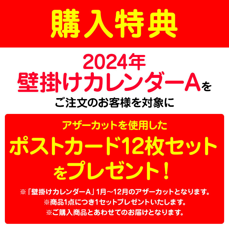 乃木坂46 OFFICIAL WEB SHOP | 乃木坂46 グッズ通販サイト