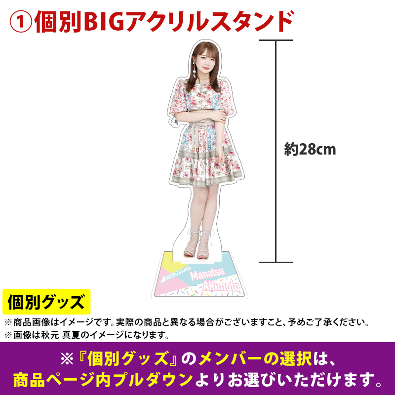 乃木坂46 OFFICIAL WEB SHOP | 乃木坂46 グッズ通販サイト