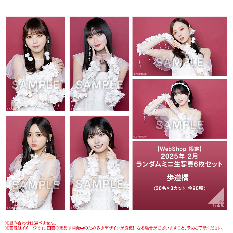 乃木坂46 OFFICIAL WEB SHOP | 乃木坂46 グッズ通販サイト