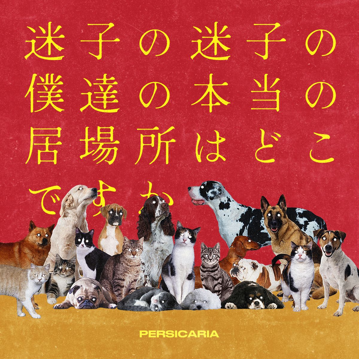 4th EP「迷子の迷子の僕達の本当の居場所はどこですか」詳細解禁