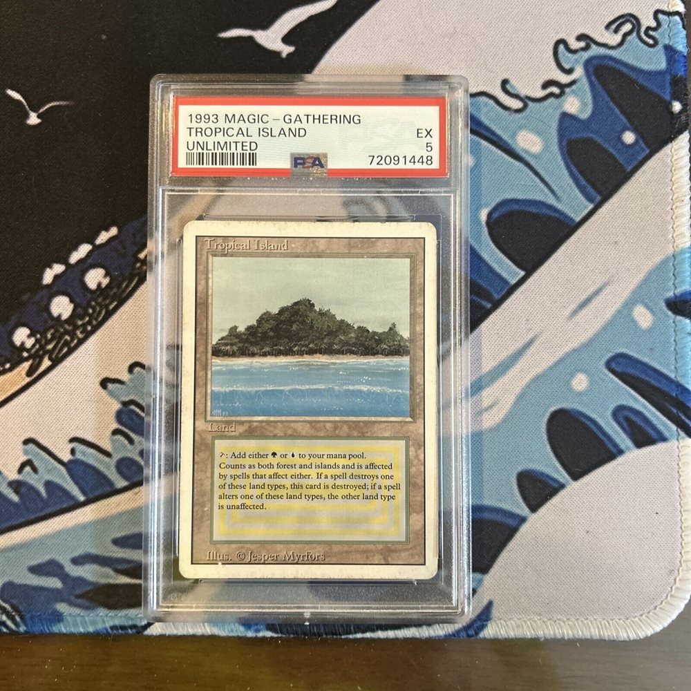 Tropical 2枚 英語 MTG MTG Tropical 英語版 MTG Tropical Island