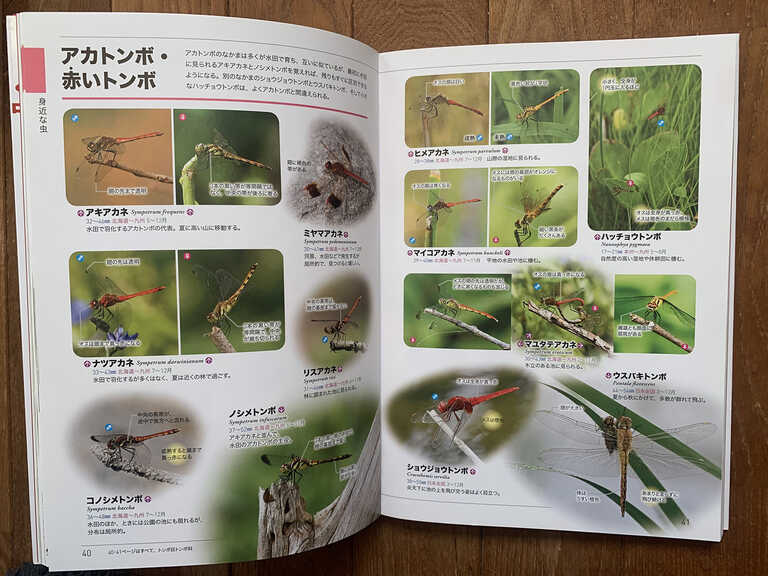 山と溪谷社いきもの部 | 図鑑を攻略！ 使いこなして自然の世界を探索