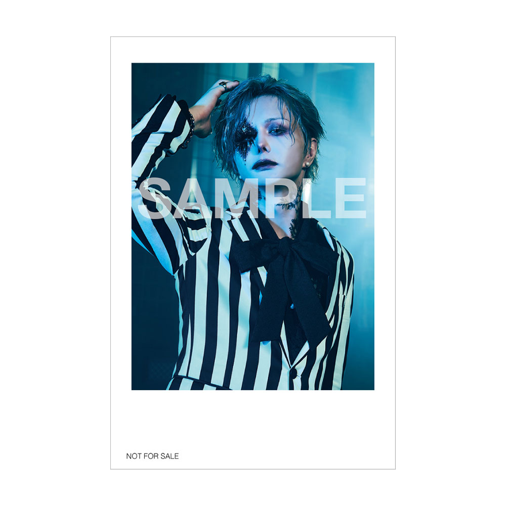 luz 5th album「AMULET」