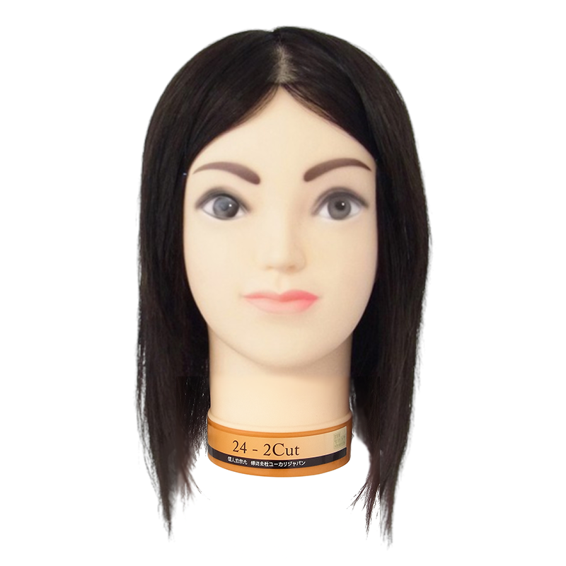 国家試験関連カットウィッグ/モデルウィッグの卸通販【プロ向け業務用