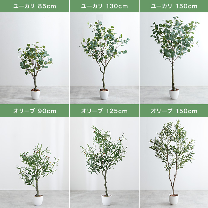 g162013]【高さ150cm】Nature 光触媒人工観葉植物 パキラ 観葉植物