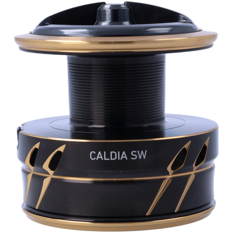 DAIWA 22カルディア SW 6000D-Hの最安値・インプレ・釣果 | 本音の