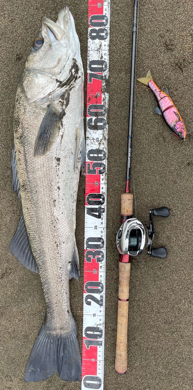 ZENAQ グランツ B73Circularの最安値・インプレ・釣果 | 本音の口コミ