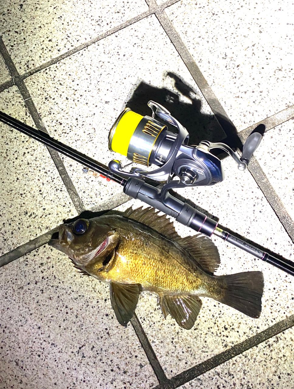 Gamakatsu ラグゼ 宵姫 華 弍 S72L-solidの最安値・インプレ・釣果