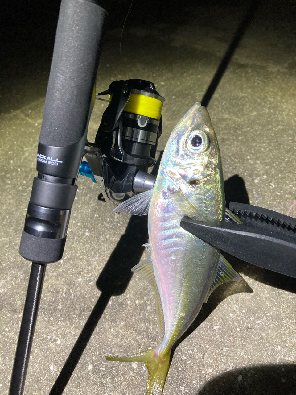 JACKALL ビーアールエス BRS-S64UL-LGの最安値・インプレ・釣果 | 本音