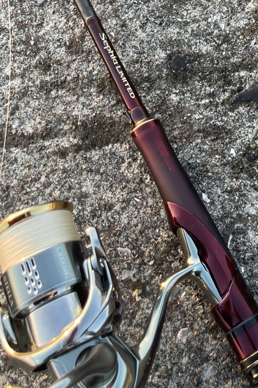 SHIMANO 19セフィア リミテッド S85MLの最安値・インプレ・釣果 | 本音