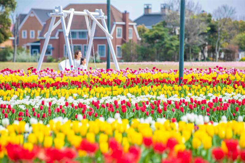 ハウステンボスで日本一早いチューリップ祭 絶景花畑＆イルミも | いこ