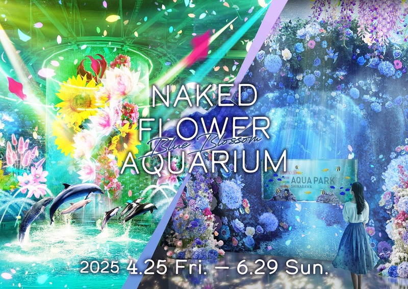 水族館「アクアパーク品川」に紫陽花水槽が登場 梅雨を華やかに彩る新