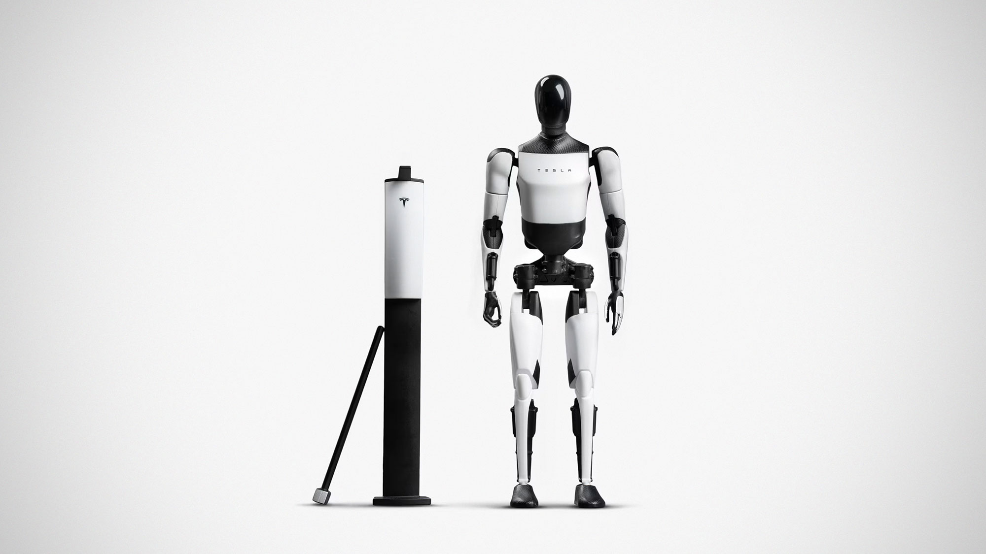 Tesla Bot Action Figure: Because Why Wait For The Real Thing? -