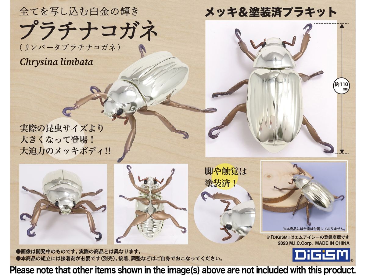 プラチナコガネ (リンバータプラチナコガネ) | HLJ.co.jp